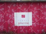 Бердское Оформление Граффити. NAC / Новосибирск