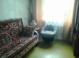 В цену входит всё. Сдам двухкомнатную квартиру 43 метра. / Новосибирск