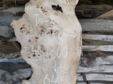 Пиломатериал, щит, паркет, шпон, слэбы из дуба, бука, ясеня, карагача, клена, акации, липы. / Новосибирск